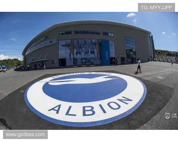 英超球队的年度财政报表分析 英超球队的年度财政报表分析