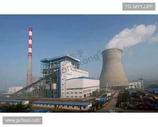 足球赛事中的媒体运作与品牌影响