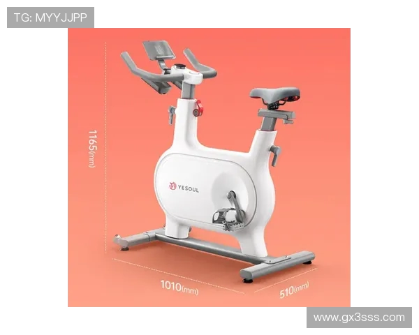 轻巧高效女性健身器械全方位解析