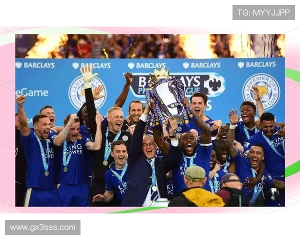 FM2018游戏中适合保级队引进的英超球员推荐