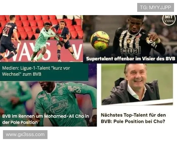 德甲俱乐部所在城市人口数据统计及其对球队发展的影响研究 德甲俱乐部所在城市人口数据统计及其对球队发展的影响研究