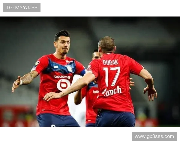 法甲外援贡献度分析及球队战绩关联研究